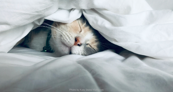 Sleep
